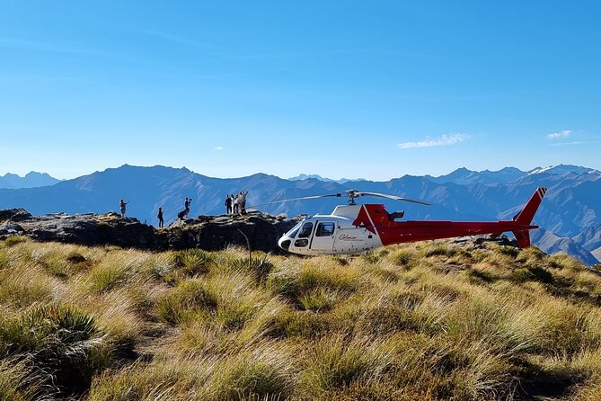 30-Minute Alpine Scenic Flight from Queenstown - From Queenstown to the Wakatipu Basin