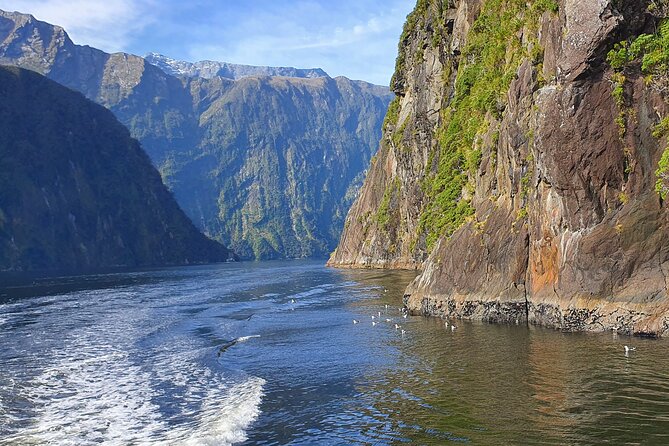 4 Day Tour to Milford Sound, Mount Cook & More from Queenstown - Price and package value at $2,203.04