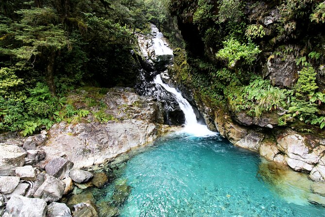 5 Day South Island Tour from Queenstown including Stewart Island - Day 5: Lake Tekapo, horse trekking, and Cromwell