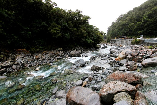 5 Day South Island Tour from Queenstown including Stewart Island - What the private format changes
