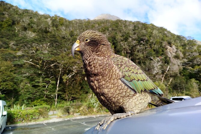 5 Day South Island Tour from Queenstown including Stewart Island - Day 2: Glowworms, Invercargill, and Bluff oysters