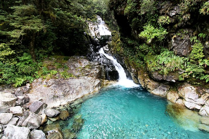 9 Day South to North Island NZ Private Tour from Queenstown - Key points at a glance