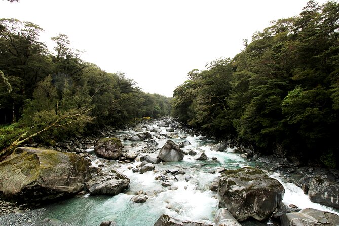 9 Day South to North Island NZ Private Tour from Queenstown - Day 5: Kaikoura or Akaroa from Christchurch