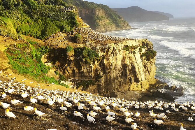 9 Day South to North Island NZ Private Tour from Queenstown - Day 2: Queenstown gardens, jet boating, and the gondola