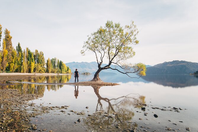 Arrowtown and Wanaka Highlights Tour from Queenstown - Key details at a glance