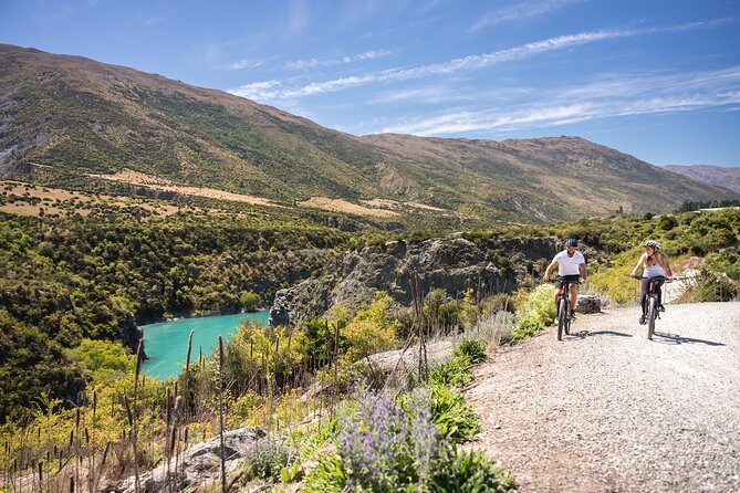 Bike The Wineries (1/2 Day) - Quick Pedal to Pinot - Mt Rosa Wines and the final tasting choice