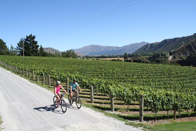 Bike The Wineries (3/4 Day) - Ride Through Queenstown Vineyards - Gibbston Valley gives you room to choose