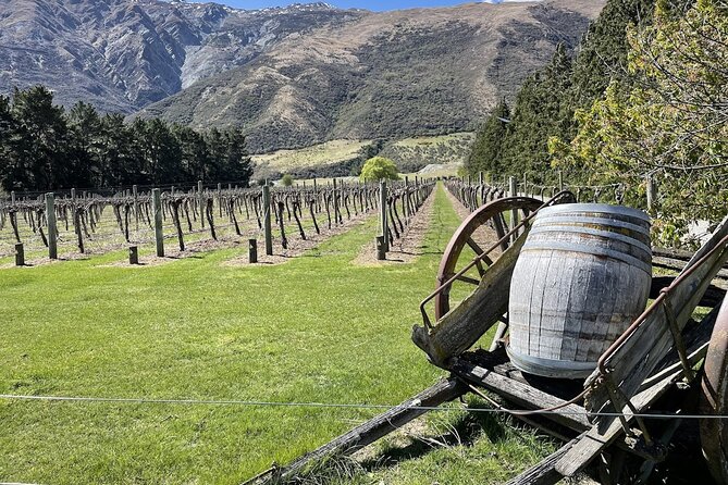 Bike & Wine Tour: Arrowtown to Valley of the Vines - Why this bike and wine day works