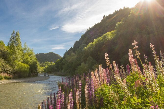 Bike & Wine Tour: Arrowtown to Valley of the Vines - What the $73.85 price really covers