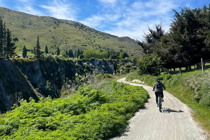 Bike & Wine Tour: Arrowtown to Valley of the Vines - Who should book this ride