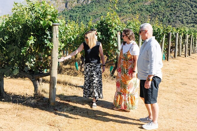 Boutique Wine Tour - visit Central Otago, 4 Wineries & Lunch - The final Gibbston stop and the ride home