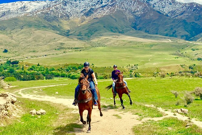 Cardrona High Country Pub Trail Horse Trek (Intermediate level+) - Riding into Cardrona’s gold-rush country