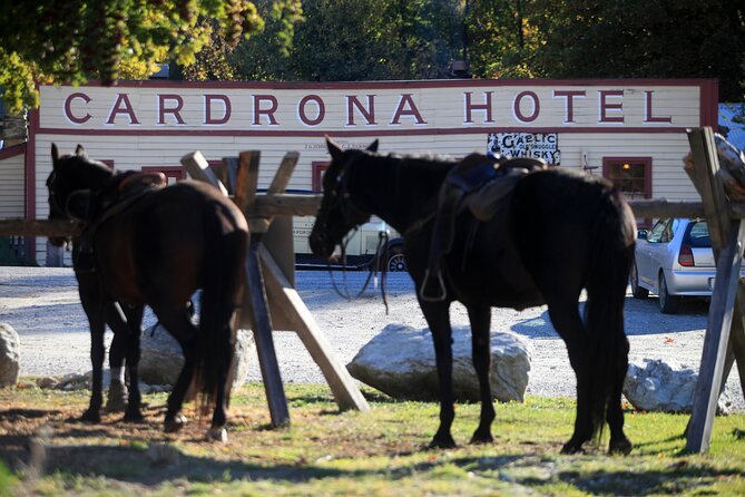 Cardrona High Country Pub Trail Horse Trek (Intermediate level+) - The Cardrona Hotel stop