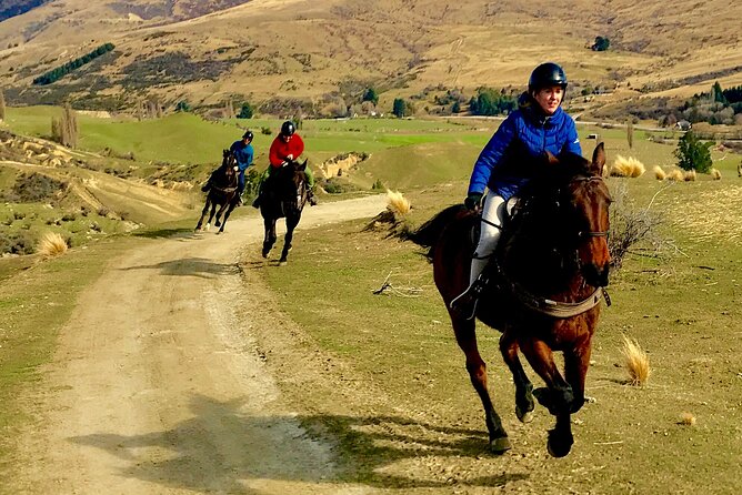 Cardrona High Country Pub Trail Horse Trek (Intermediate level+) - Is $433.78 good value?