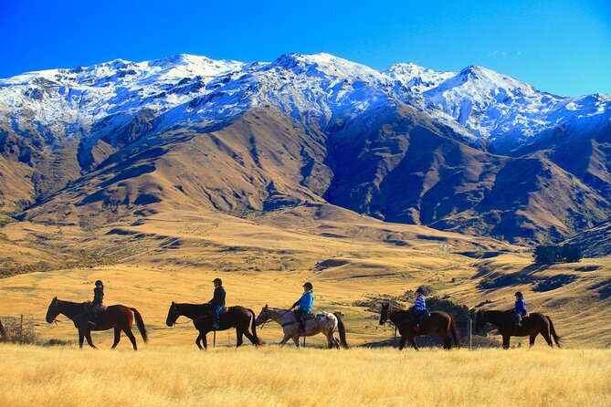 Cardrona High Country Pub Trail Horse Trek (Intermediate level+) - Trotting and cantering in the high country