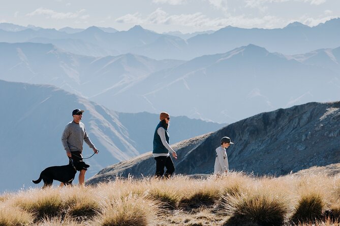 Cardrona Summer Gondola Sightseeing Pass - Key points at a glance