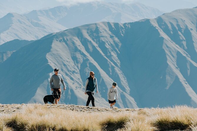 Cardrona Summer Gondola Sightseeing Pass - Is the $21.72 price good value?