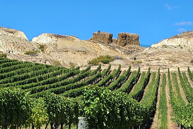 Central Otago Wine Tour Small Group, Expert Guide & Scenic Views - Cromwell adds a short optional pause