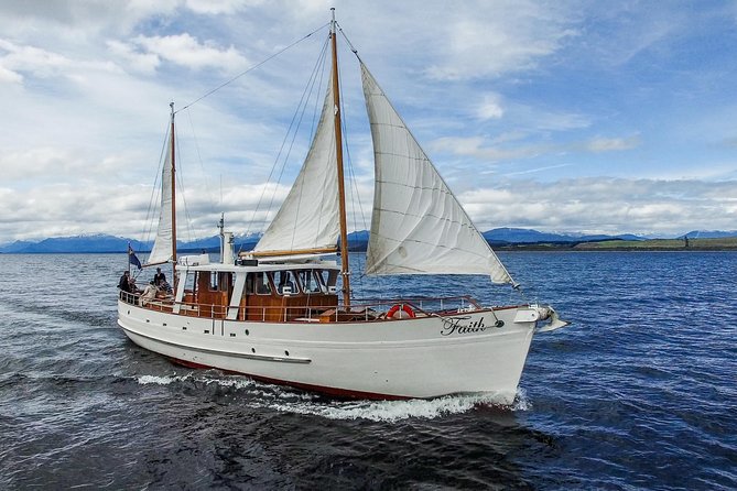 Champagne Sightseeing Cruise on Lake Te Anau - Leaving Te Anau at 6 pm