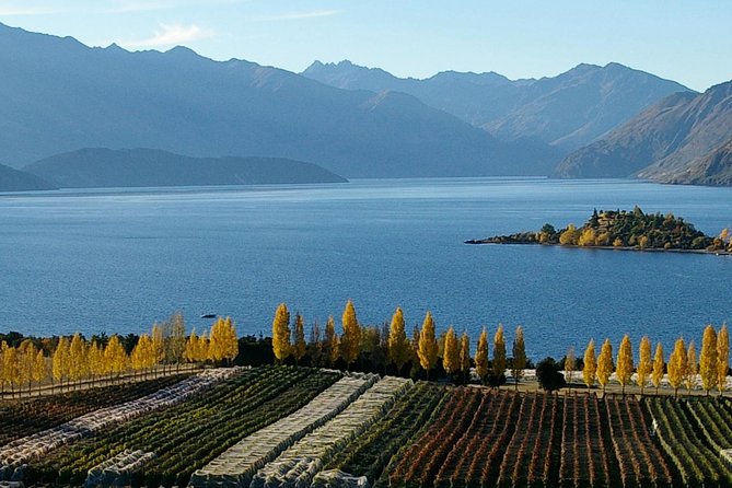 Classic Wanaka Wine Tour - Why Wanaka is a fine base for a wine day