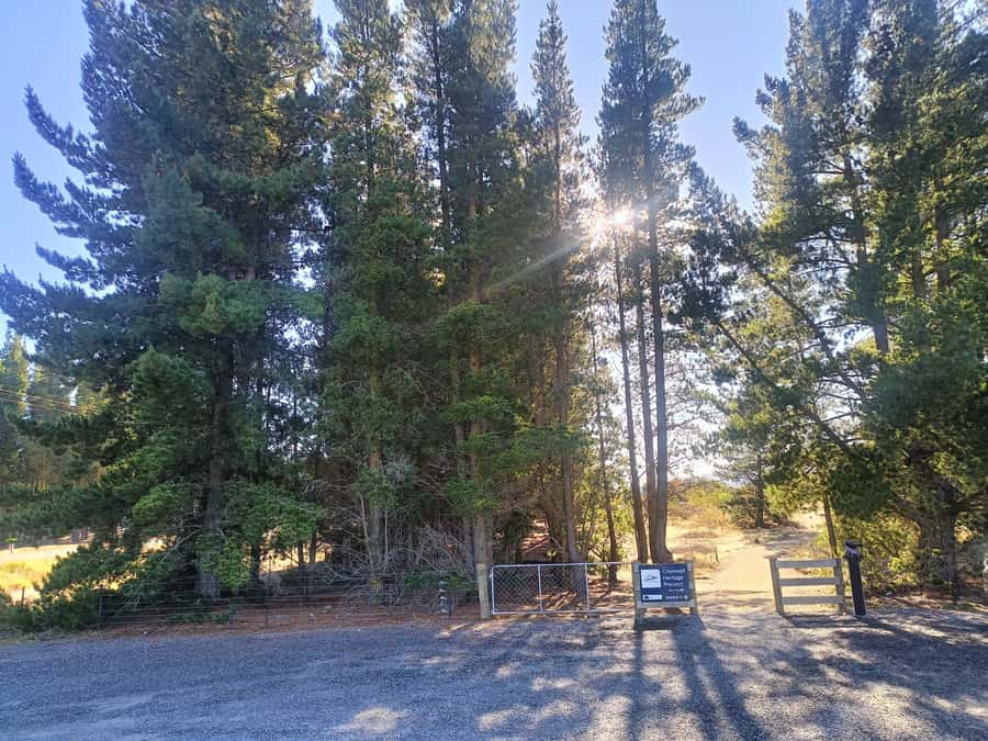 Cromwell: Lake Dunstan Trail Bike Rental and Luxury Shuttle - Who will enjoy this ride most