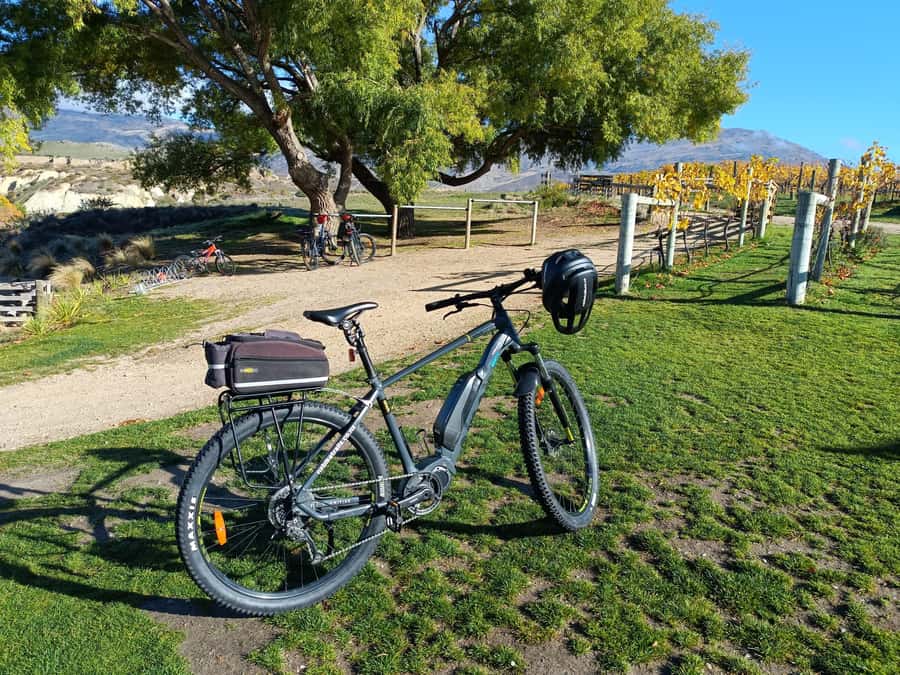Cromwell: Lake Dunstan Trail Bike Rental and Luxury Shuttle - The 42km ride from Cromwell to Clyde