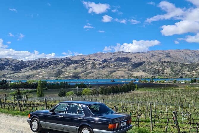 Cromwell Wine Tasting Tour using Classic Car - Why the Mercedes changes the mood