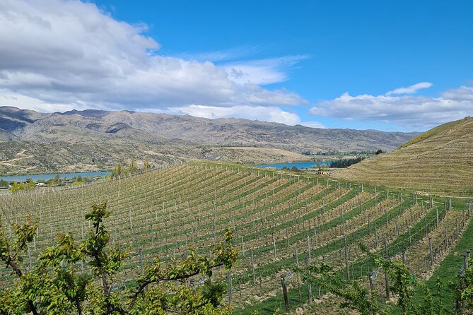 Cromwell Wine Tasting Tour using Classic Car - Bob’s personal approach
