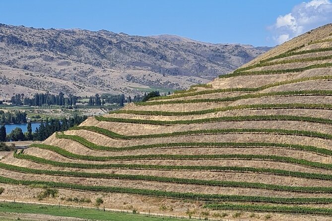 Cromwell Wine Tasting Tour using Classic Car - Price, privacy, and what is included