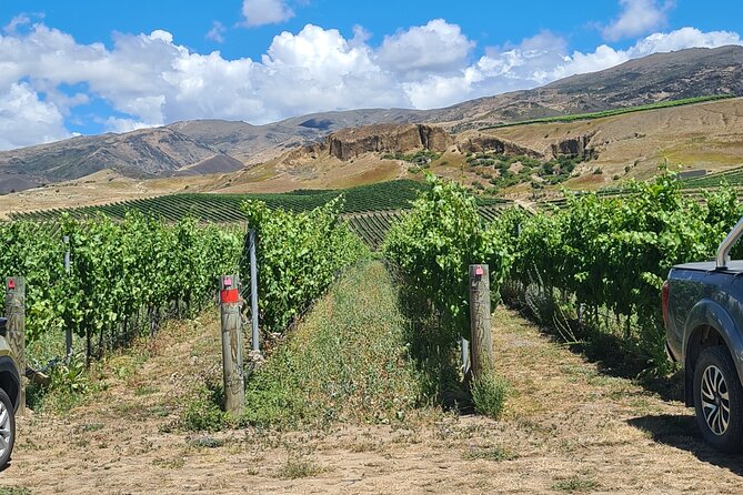 Cromwell Wine Tasting Tour using Classic Car - The drive into the Cromwell Basin