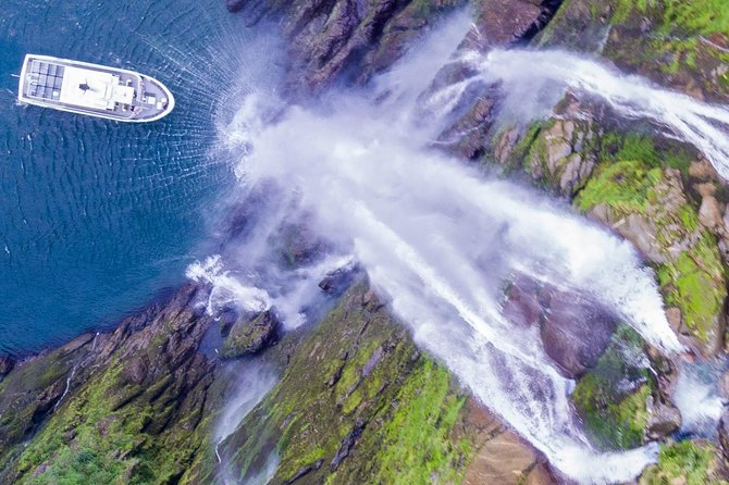 Cruise Milford NZ Small Boutique Cruise Experience - Key points at a glance
