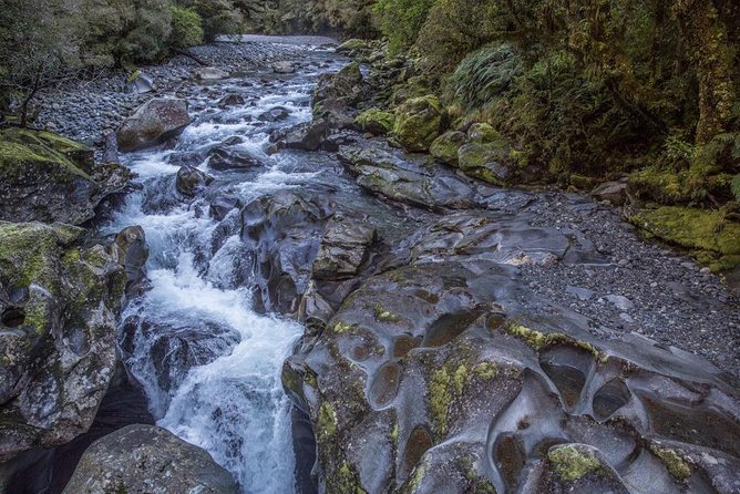 Cruise Milford Small Group Day Tour from Queenstown - Eglinton Valley and Mirror Lakes bring the best short walks