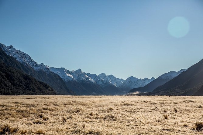 Cruise Milford Small Group Day Tour from Queenstown - Te Anau provides the first real break