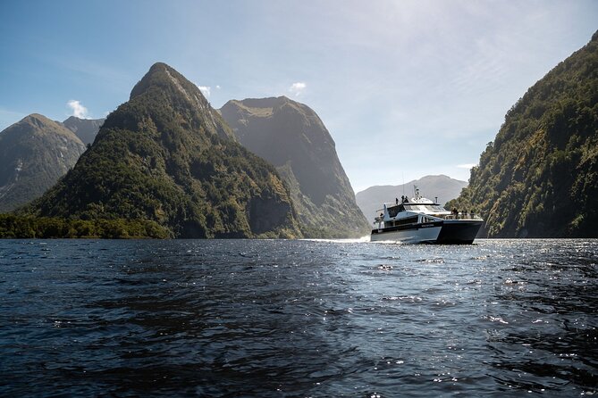 Doubtful Sound Wilderness Cruise from Te Anau - Wildlife: seals, dolphins, and a lucky penguin sighting