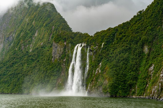 Epic Milford Guided Tour from Te Anau - Monkey Creek and the chance of native wildlife