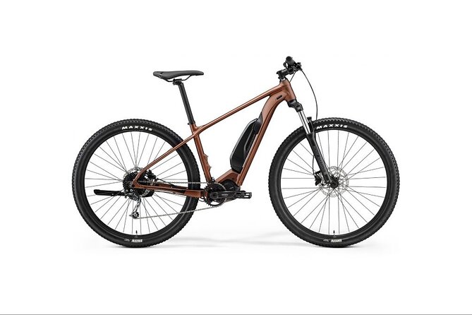 Explore Queenstown's Scenic Trails with an Electric Bike - A good fit for mixed groups and casual cyclists