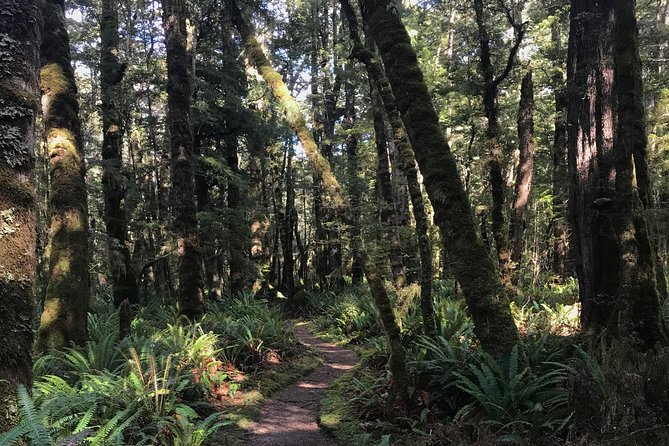 Fiordland Jet Boat and Biking Combo from Te Anau - A short walk into the national park