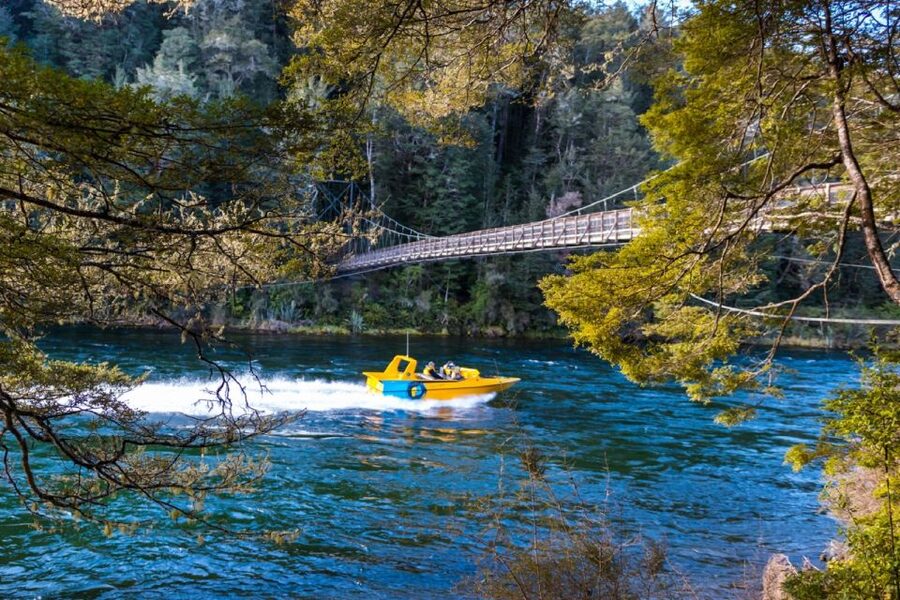 Fiordland: Jet Boat & Nature Walk Experience from Te Anau - A 15-minute walk through ancient beech forest