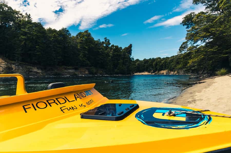 Fiordland: Jet Boat & Nature Walk Experience from Te Anau - Who should book this experience?
