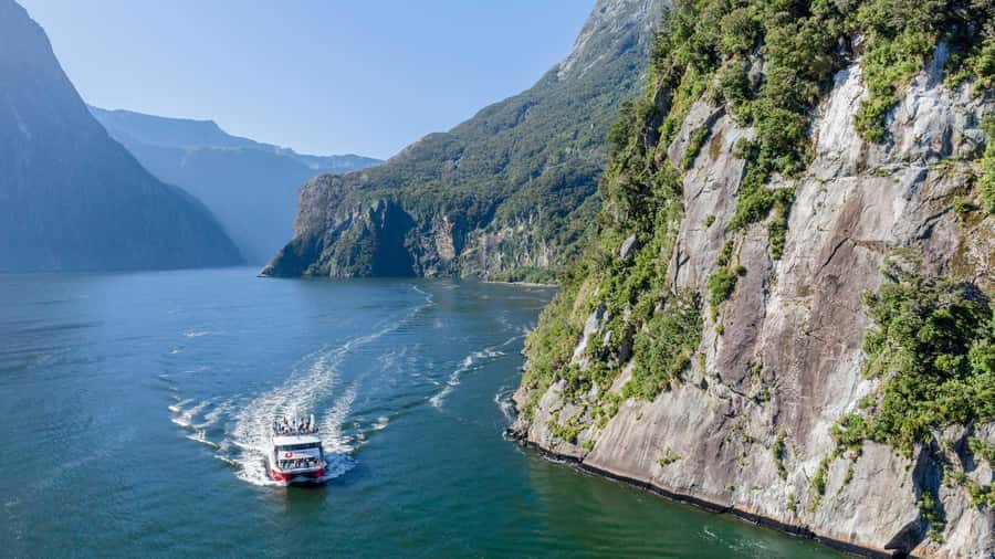 From Queenstown: Coach, Farm Tour & Milford Nature Cruise - A working farm in Te Anau