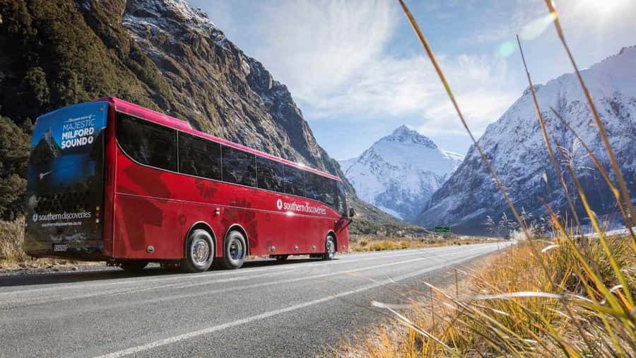 From Queenstown: Coach, Farm Tour & Milford Nature Cruise - Who will enjoy this Milford Sound tour
