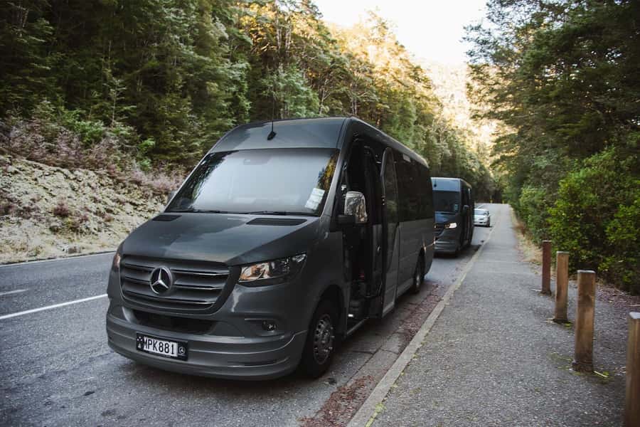 From Queenstown: Milford Sound Business Class with Cruise - The Milford Sound Road, with time to stop