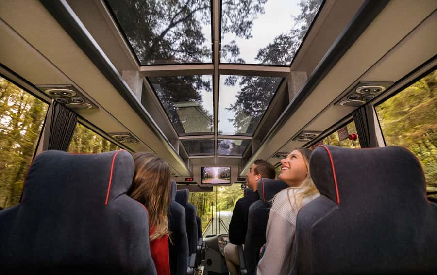 From Queenstown: Milford Sound Coach, Cruise, Scenic Flight - Why this Milford Sound combination works