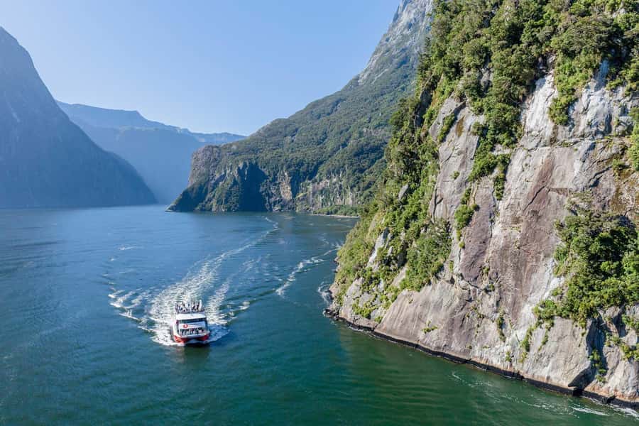 From Queenstown: Milford Sound Day Trip on Premium Coach - Mirror Lakes and Monkey Creek