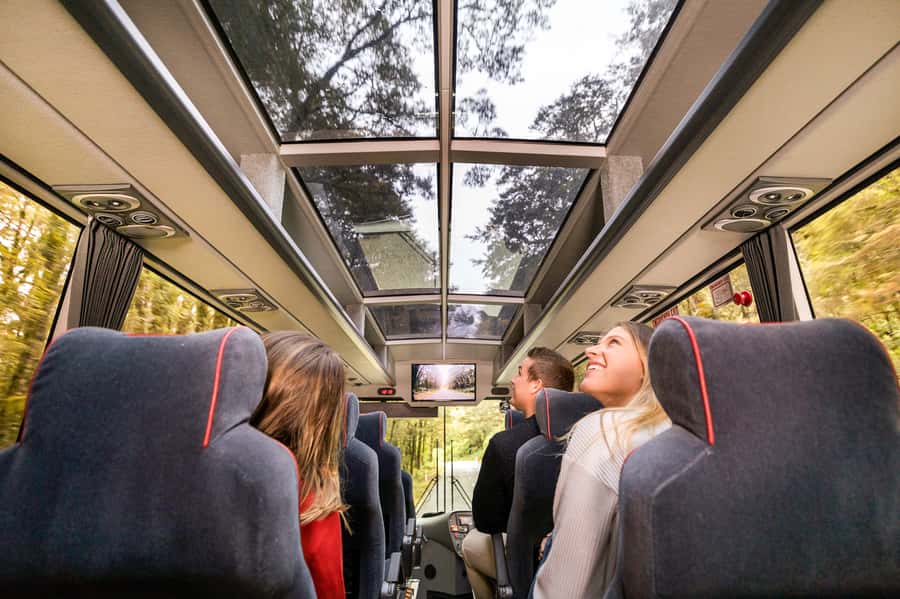 From Queenstown: Milford Sound Day Trip on Premium Coach - The early road to Te Anau