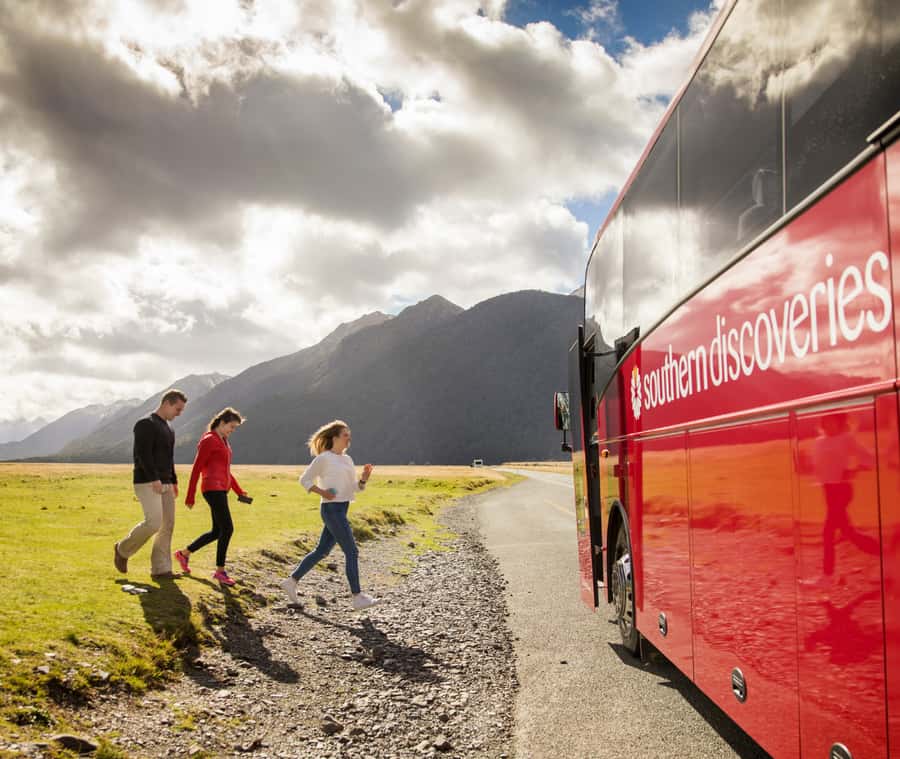 From Queenstown: Milford Sound Discover More Longest Cruise - Bowen Falls, seals, dolphins, and penguins