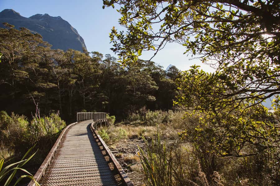 From Queenstown: Milford Sound Scenic Flight & Nature Tour - Who will get the most from this Milford Sound trip