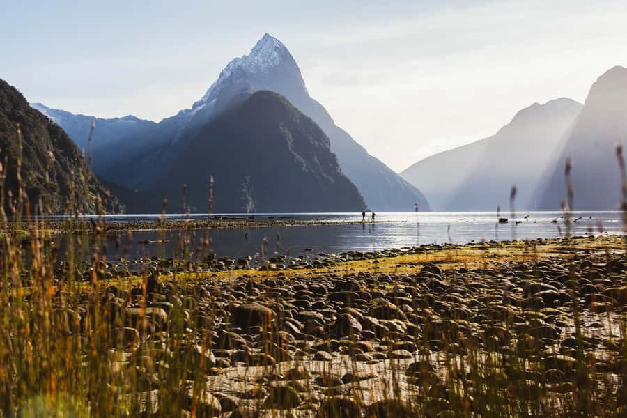 From Queenstown: Milford Sound Scenic Flight & Nature Tour - Flying back to Queenstown