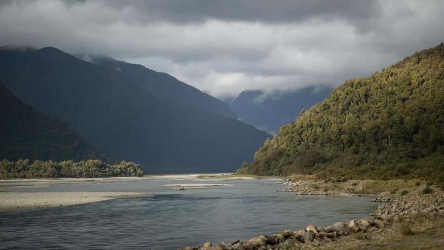 From Queenstown: Scenic One-Way Tour to Franz Josef - Crossing Haast Pass through native beech forest
