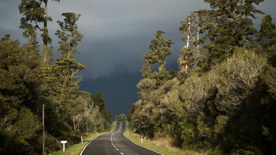 From Queenstown: Scenic One-Way Tour to Franz Josef - Who will get the most from this tour